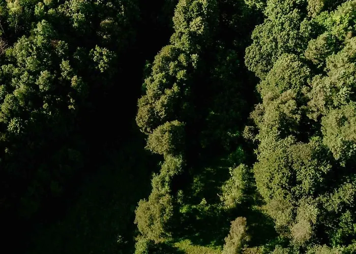 Balia I Nad Jeziorem Morelife House Сasa de vacaciones *