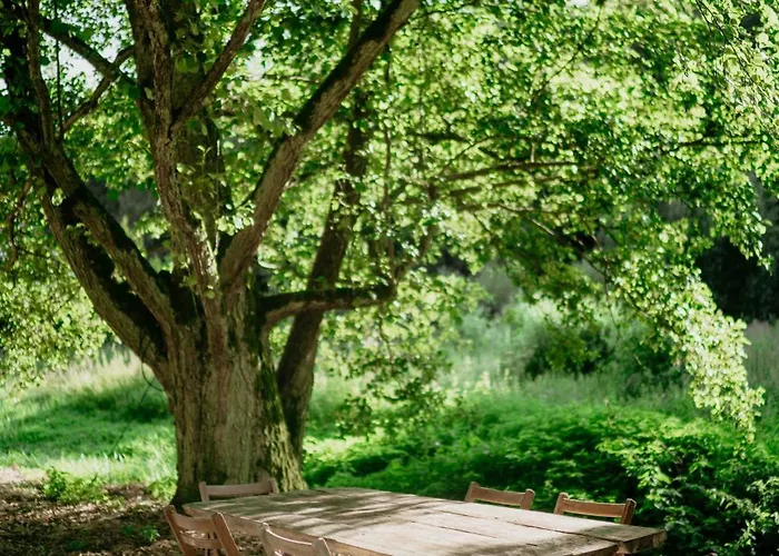 Сasa de vacaciones Balia I Nad Jeziorem Morelife House Tuczno (Walcz)