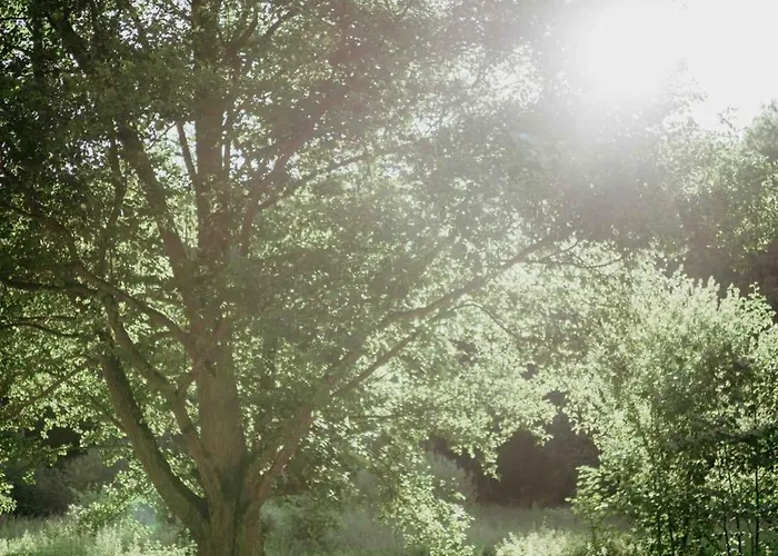 Balia I Nad Jeziorem Morelife House Tuczno (Walcz)