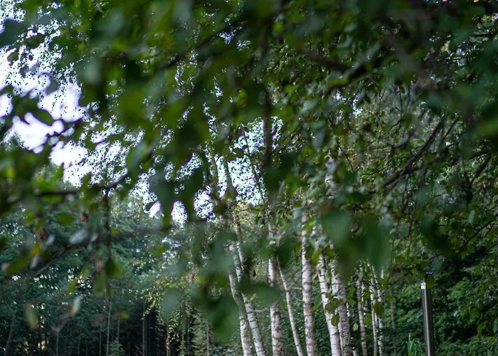 Balia I Nad Jeziorem Morelife House *